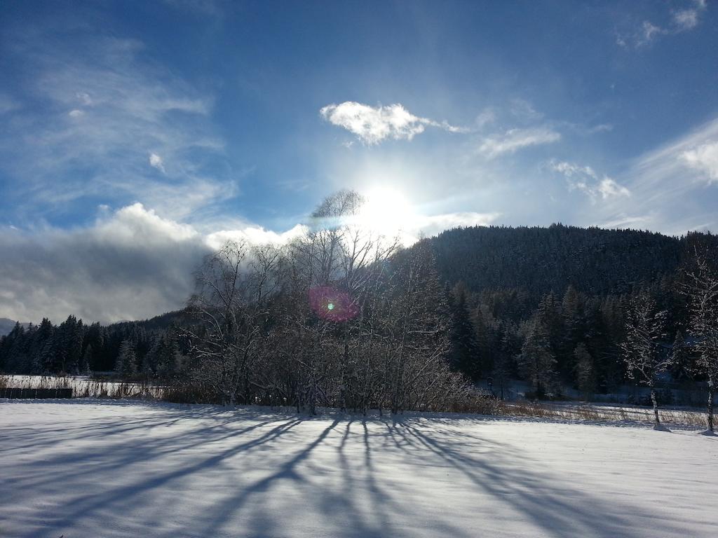 Apartament Haus Steinroeschen Seefeld w Tirolu Zewnętrze zdjęcie